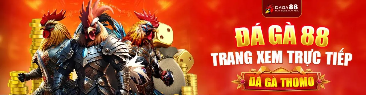 Đấu trường đá gà trực tuyến sôi động tại fp88